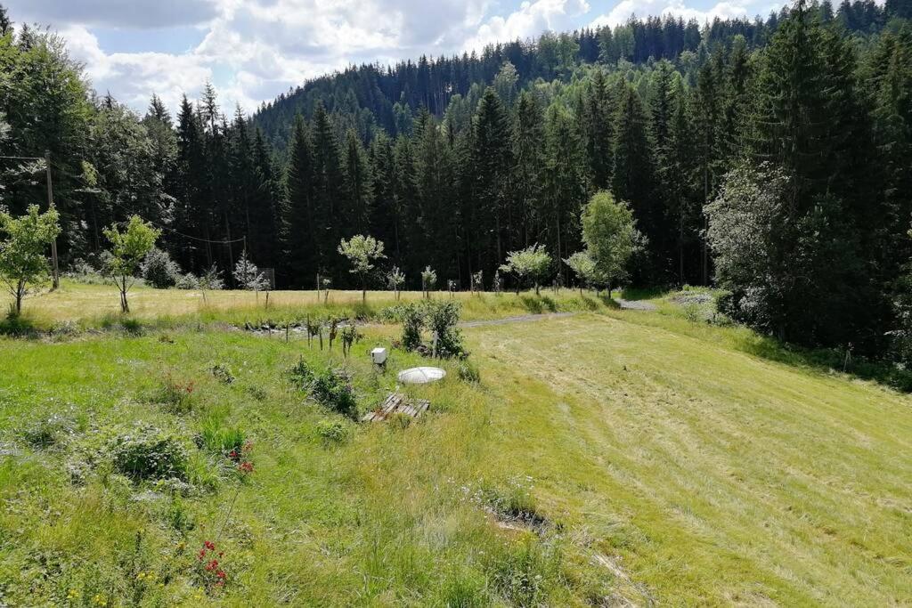 Velké Karlovice Biofarma Na Luce 빌라 외부 사진