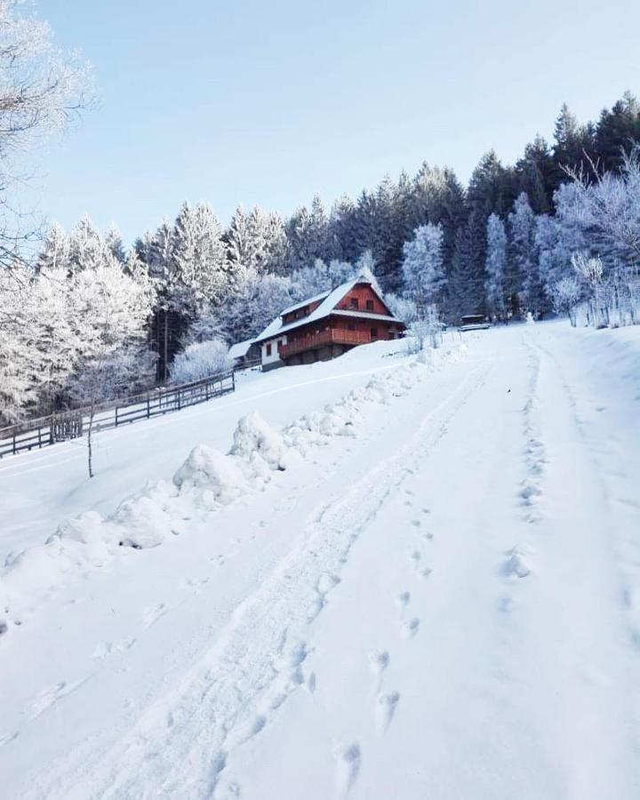 Velké Karlovice Biofarma Na Luce 빌라 외부 사진